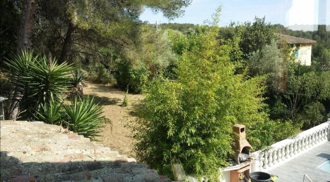 Appartement Pinede Man Yelle Sanary-sur-Mer Exteriör bild